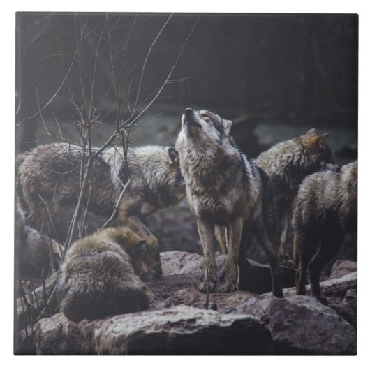 Wolf Pack Ceramic Tile Tegeltje (Voorkant)