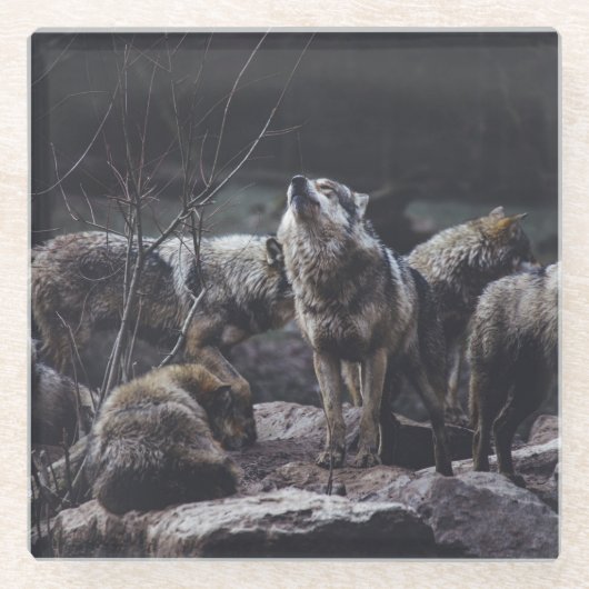 Wolf Pack Glazen Onderzetter (Voorkant)