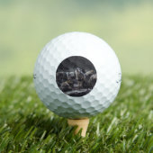 Wolf Pack Golfballen (Insitu Shirt)