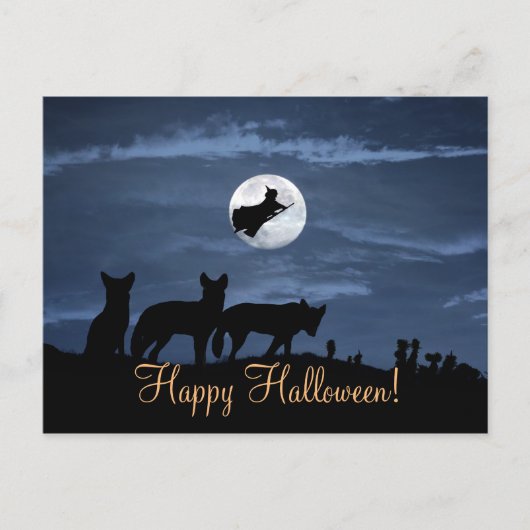 Wolf Pack Happy Halloween Witch Briefkaart (Voorkant)