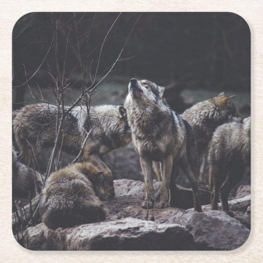 Wolf Pack Kartonnen Onderzetters (Voorkant)