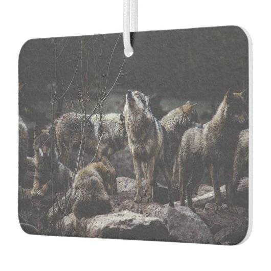 Wolf Pack Luchtverfrisser (Links)