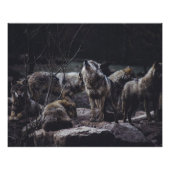 Wolf Pack Perfect Poster (Voorkant)