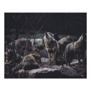 Wolf Pack Perfect Poster