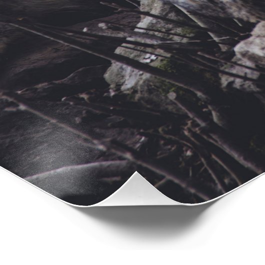 Wolf Pack Perfect Poster (Hoek)