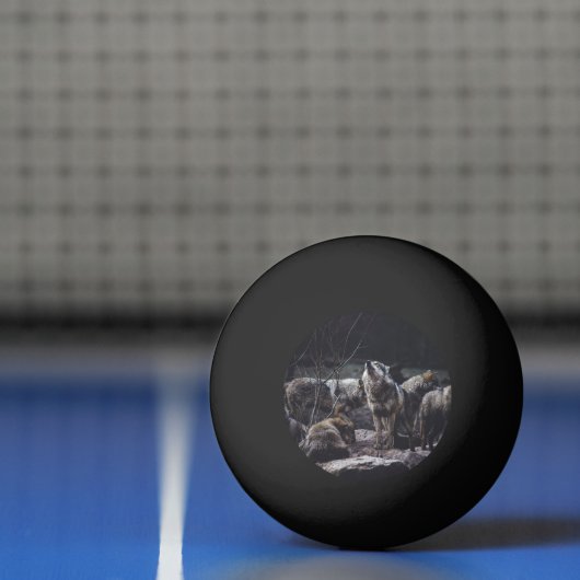 Wolf Pack Pingpongbal (Net)