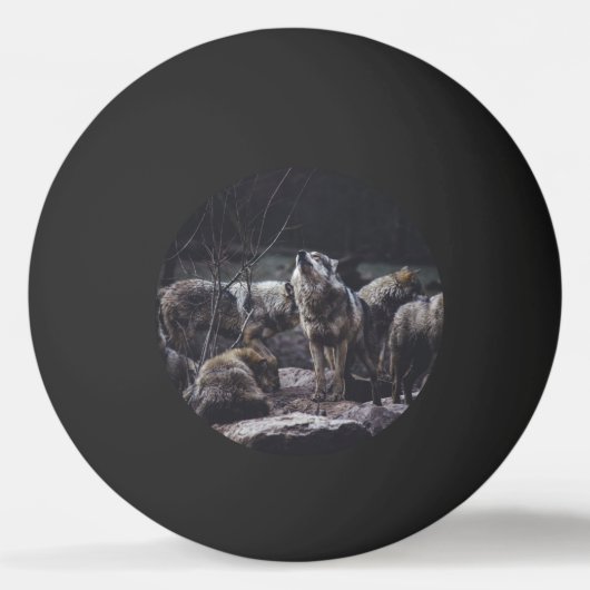 Wolf Pack Pingpongbal (Voorkant)