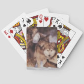 Wolf Pack Pokerkaarten (Achterkant)