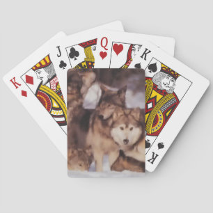 Wolf Pack Pokerkaarten