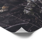 Wolf Pack Poster (Hoek)