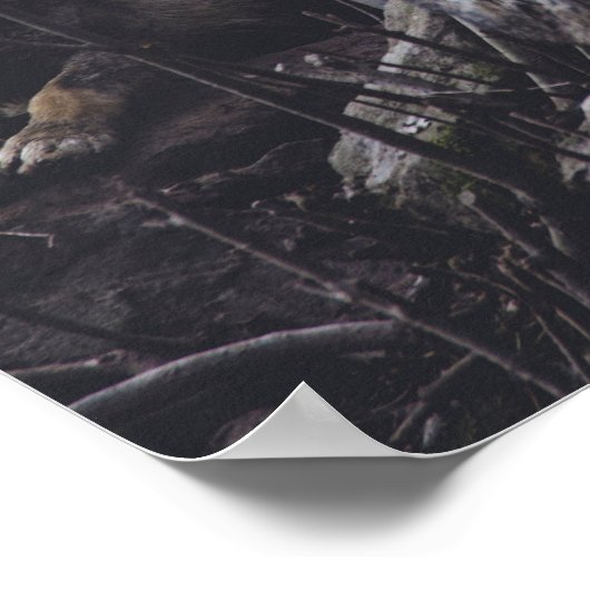 Wolf Pack Poster (Hoek)