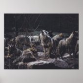 Wolf Pack Poster (Voorkant)