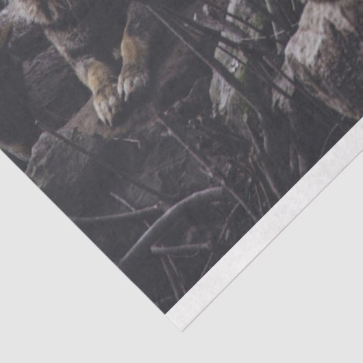 Wolf Pack Tissuepapier (Detail)