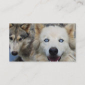 Wolf Pack Visitekaartje (Achterkant)