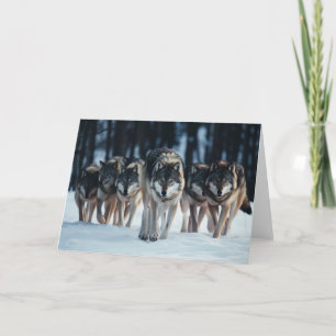 Wolf Pack Wenskaart Kaart