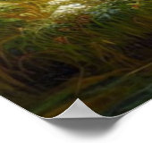 Wolf Pack Wolven Stream Natuur Wildlife Poster (Hoek)