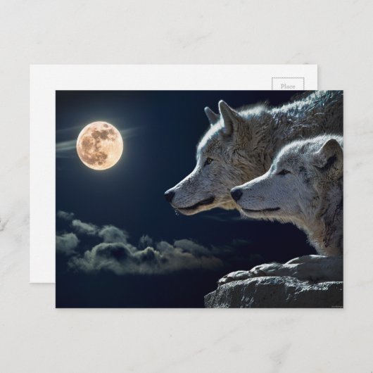 Wolf Pair Moon Night Gothic Fantasy Briefkaart (Voorkant / Achterkant)
