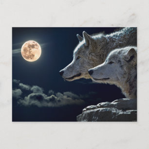 Wolf Pair Moon Night Gothic Fantasy Briefkaart