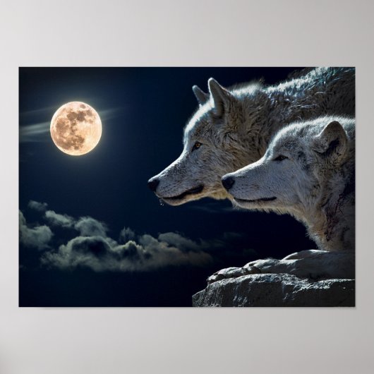 Wolf Pair Moon Night Gothic Fantasy Poster (Voorkant)