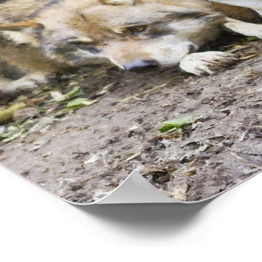 Wolf Pair Resting in the Bossen Wildlife Poster (Hoek)