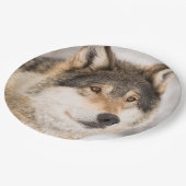 Wolf Papieren Bordje (Gekanteld)