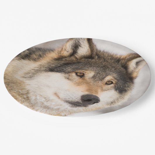 Wolf Papieren Bordje (Gekanteld)