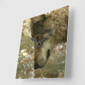 Wolf Pawing Water Vierkante Klok (Hoek)
