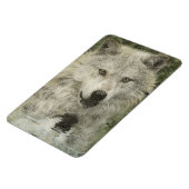 Wolf Pencil Drawing Art Magnet Magneet (Linkerzijde)