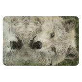 Wolf Pencil Drawing Art Magnet Magneet (Horizontaal)