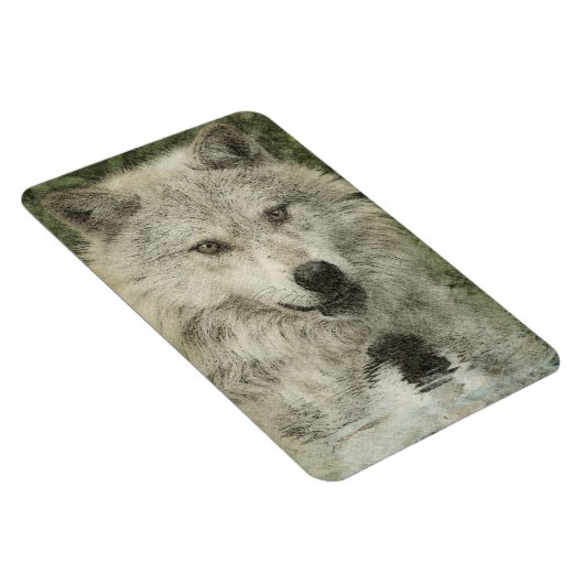 Wolf Pencil Drawing Art Magnet Magneet (Rechterzijde)