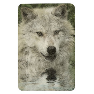Wolf Pencil Drawing Art Magnet Magneet