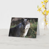 Wolf Photo Closeup Notecard Kaart (Gele Bloem)