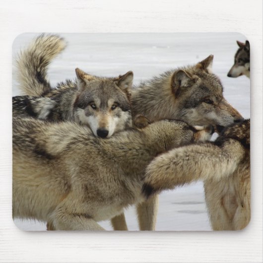 Wolf Pile Muismat (Voorkant)
