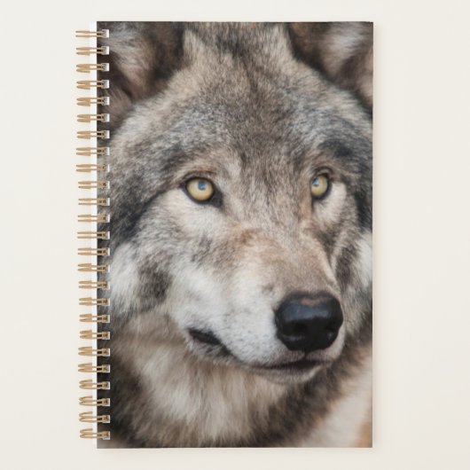 Wolf Planner (Voorkant)