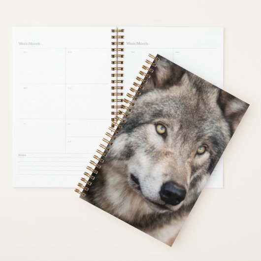 Wolf Planner (Display)