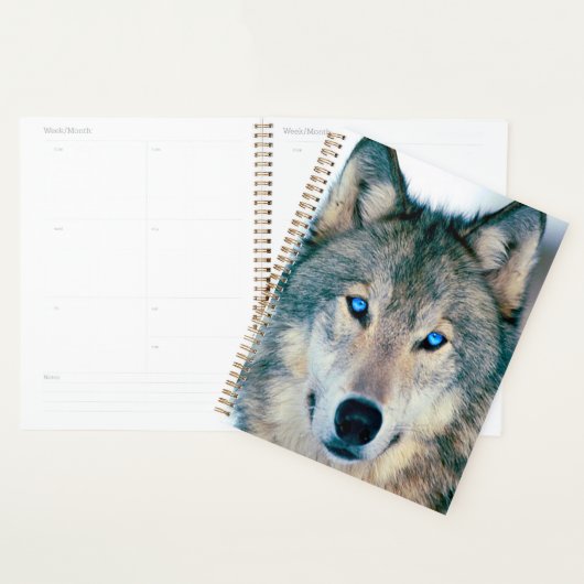 Wolf Planner (Display)