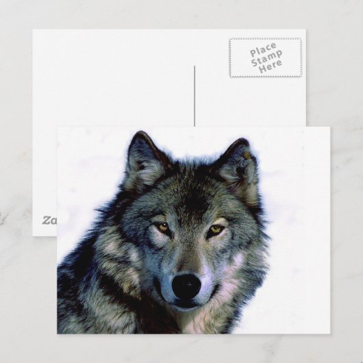 Wolf Portrait Briefkaart (Voorkant / Achterkant)