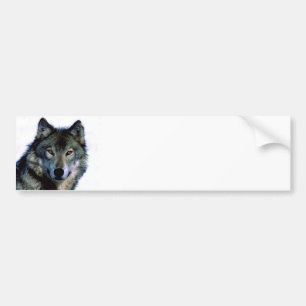 Wolf Portrait Bumpersticker
