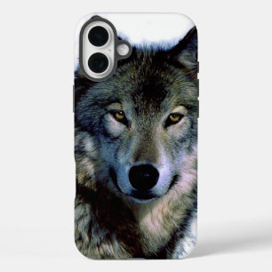 Wolf Portrait iPhone 16 Plus Hoesje