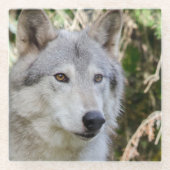 Wolf Portrait Glazen Onderzetter (Voorkant)