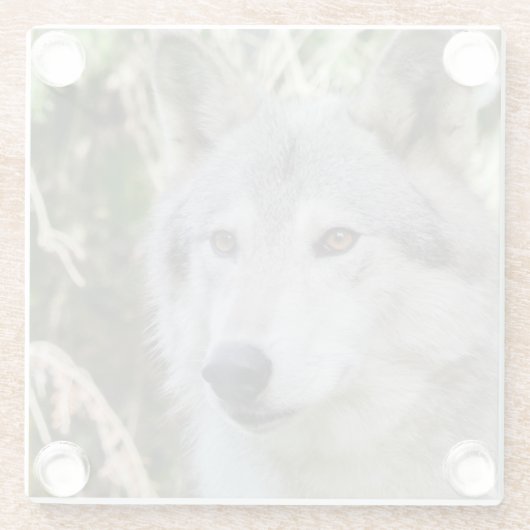 Wolf Portrait Glazen Onderzetter (Achterkant)