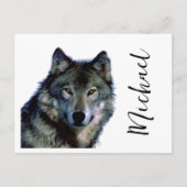 Wolf Portrait Jouw naam Custom Handschrift Briefkaart (Voorkant)