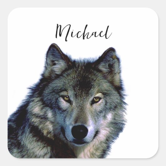Wolf Portrait Jouw naam Custom Handschrift Vierkante Sticker (Voorkant)