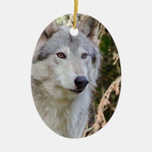 Wolf Portrait Keramisch Ornament (Voorkant)