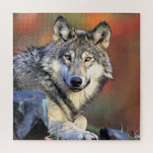 Wolf Portrait Legpuzzel (Verticaal)