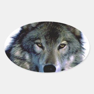 Wolf Portrait Ovale Sticker