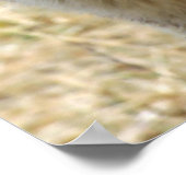 Wolf Portrait Poster (Hoek)