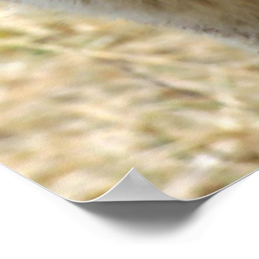 Wolf Portrait Poster (Hoek)