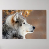 Wolf Portrait Poster (Voorkant)