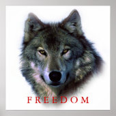 Wolf Portrait Square Freedom Poster Print (Voorkant)